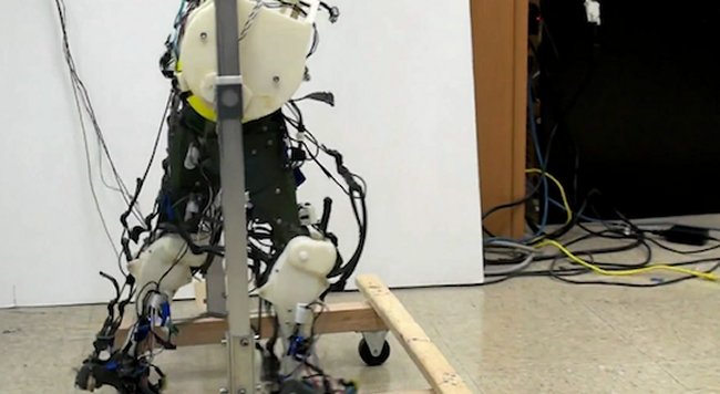 Как устроен самый сложный робот на земле?